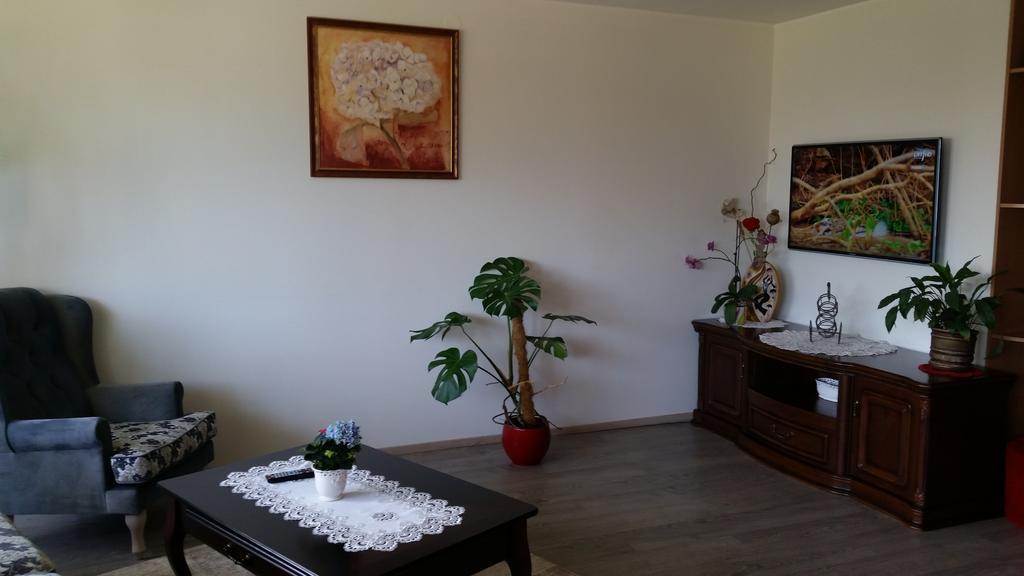 Family Apartment נידה מראה חיצוני תמונה