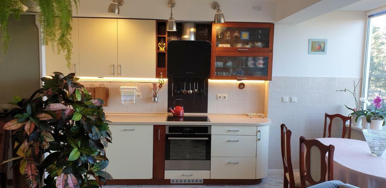 Family Apartment נידה מראה חיצוני תמונה